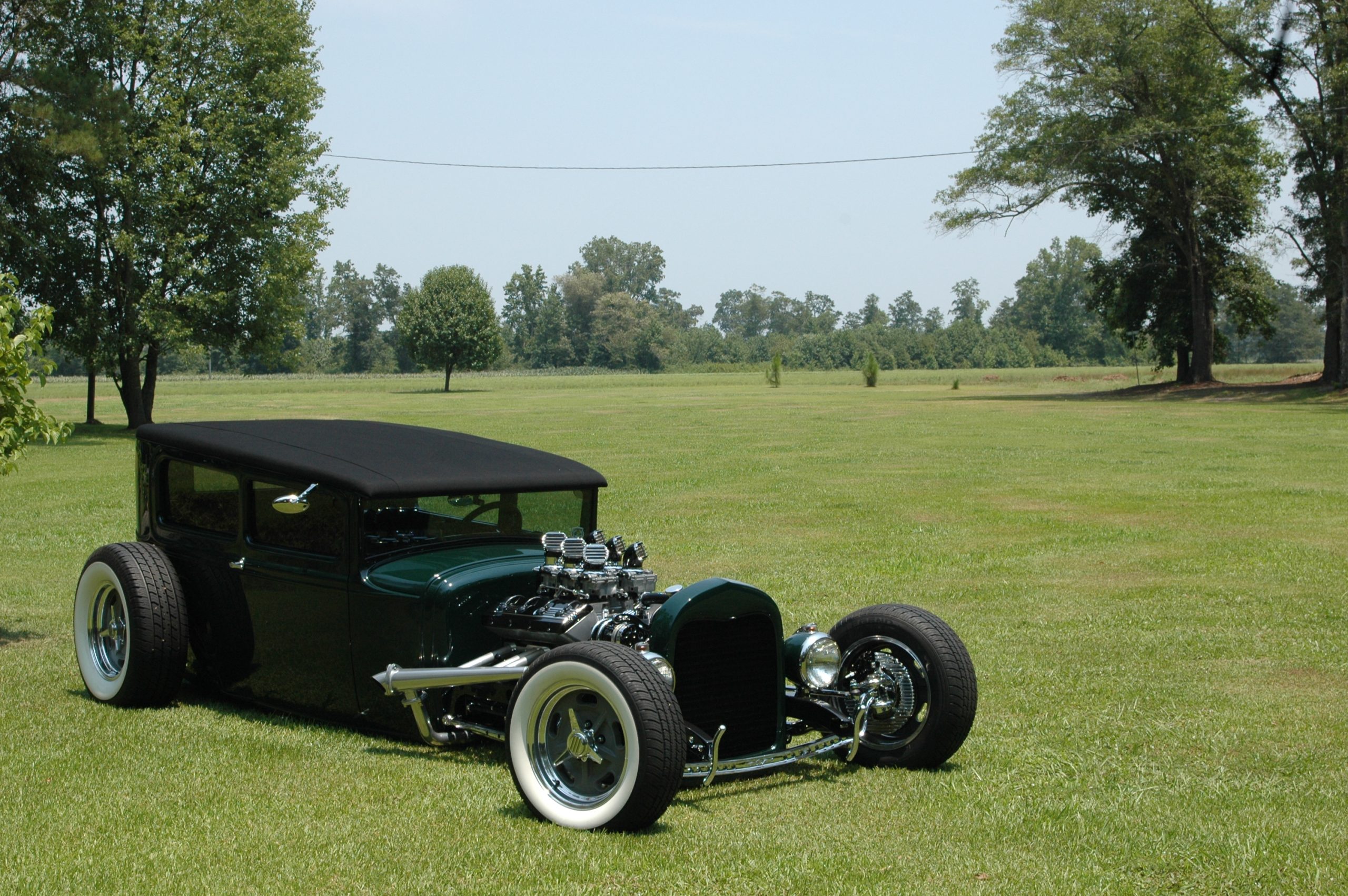 Green w/ White Walls 2