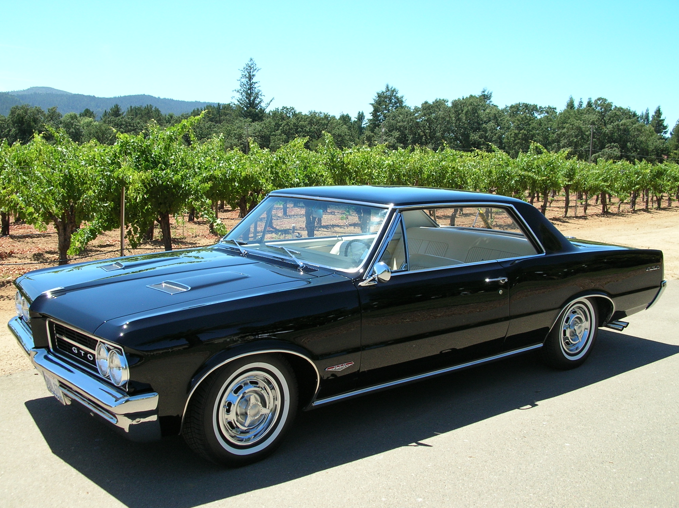 GTO White Wall Tires